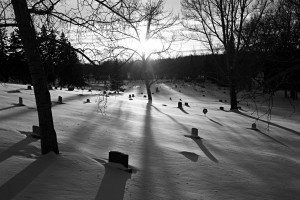 A graveyard in the winter evening.